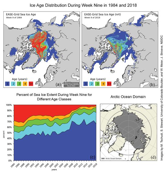 Evolution couverture de glace arcticque