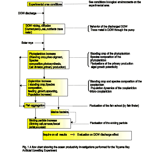 Fig. 1. A flow chart showing the ocean productivity investigations performed for the Toyama Bay Artificial Upwelling Experiment.